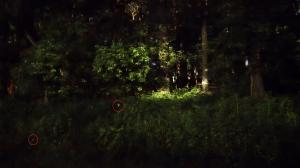 ホタル2
