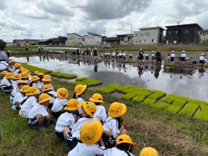 田植えの様子を見学する1年生たち