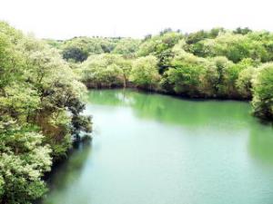 水郷県民の森