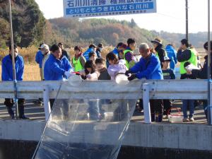 石川川清掃後にフナの稚魚を放流している写真です