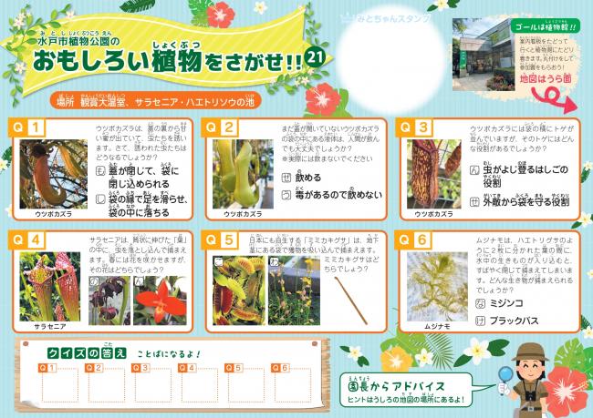 案内チラシR8夏(児童用)三校_page-0002.jpg