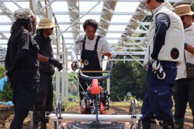 営農型太陽光発電施設内での農作業
