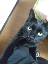 逸走47①