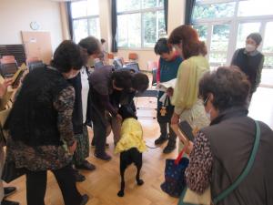 盲導犬ヘレナと参加者が触れ合う様子の写真です