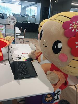 pcしらべものの画像