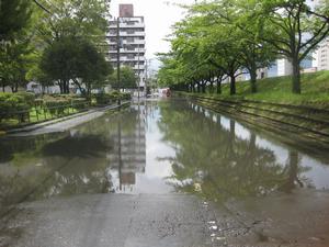 冠水写真例.2