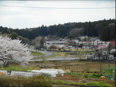 山根自治連合会の写真です