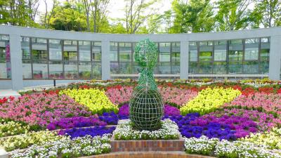 緑岡住民の会の写真です