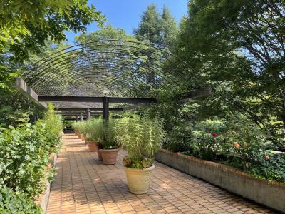 水戸市植物公園　園内の様子