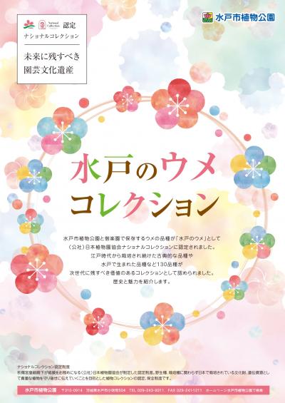 水戸のウメコレクション