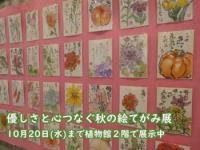 優しさと心つなぐ秋の絵てがみ展の画像